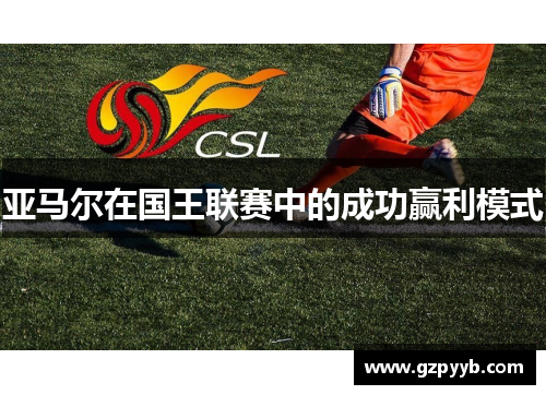 亚马尔在国王联赛中的成功赢利模式